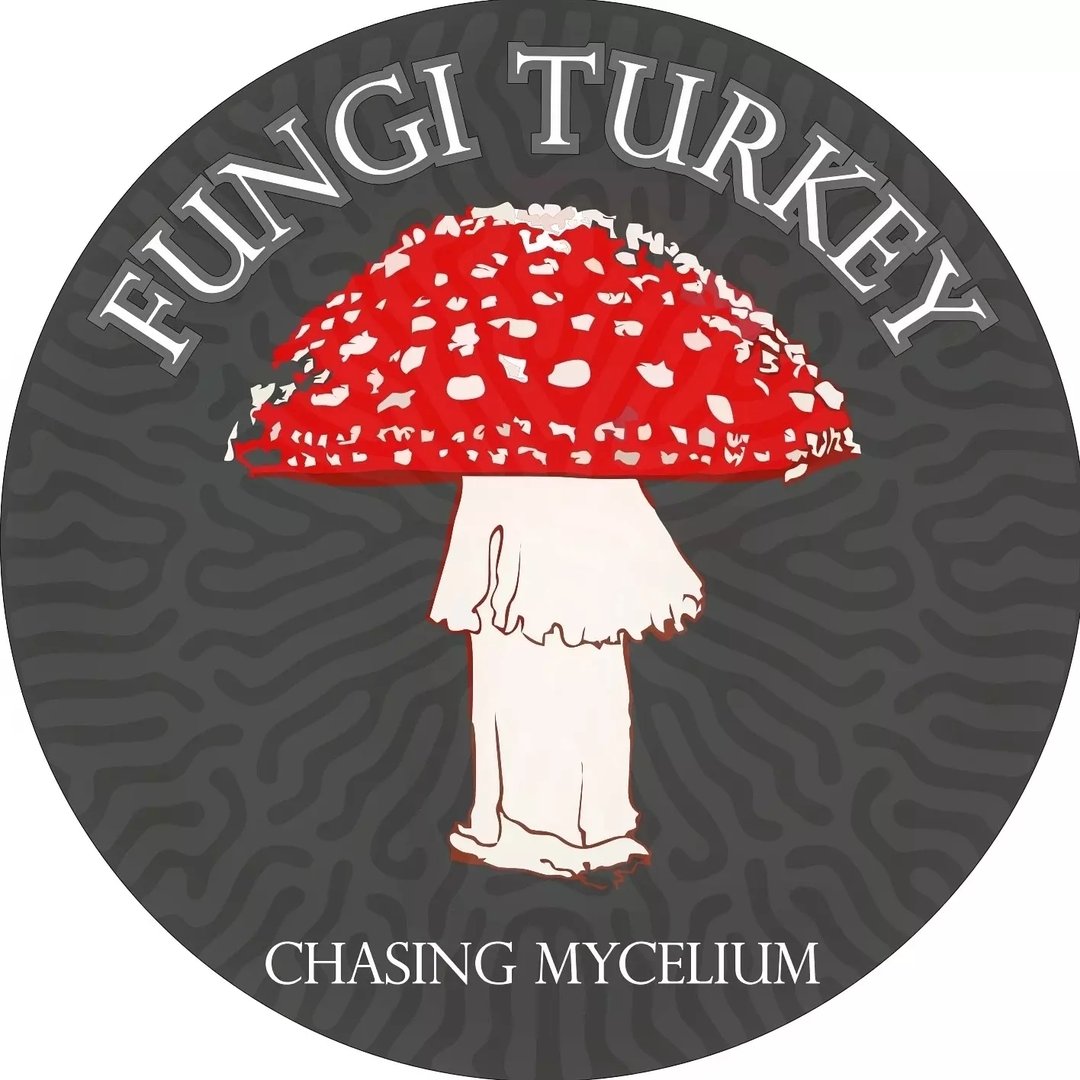 Fungi Turkey©