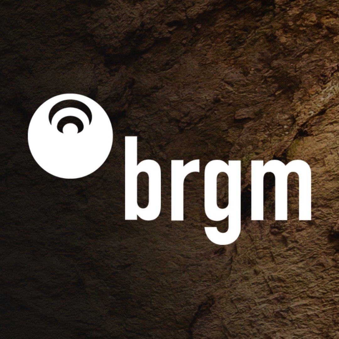 brgmTV