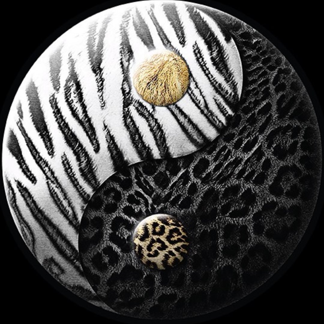 Black Jaguar-White Tiger