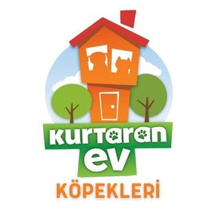 Kurtaran Ev Köpekleri 🐶