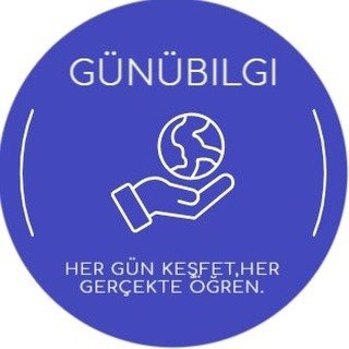 Günübilgi