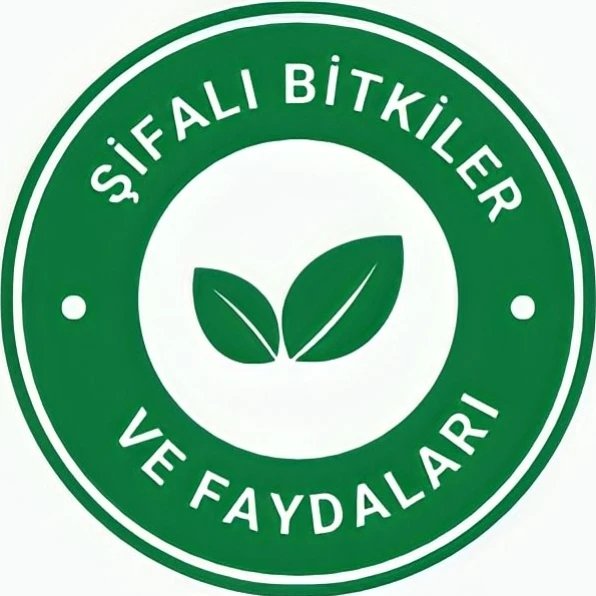 Şifalı Bitkiler ve Faydaları