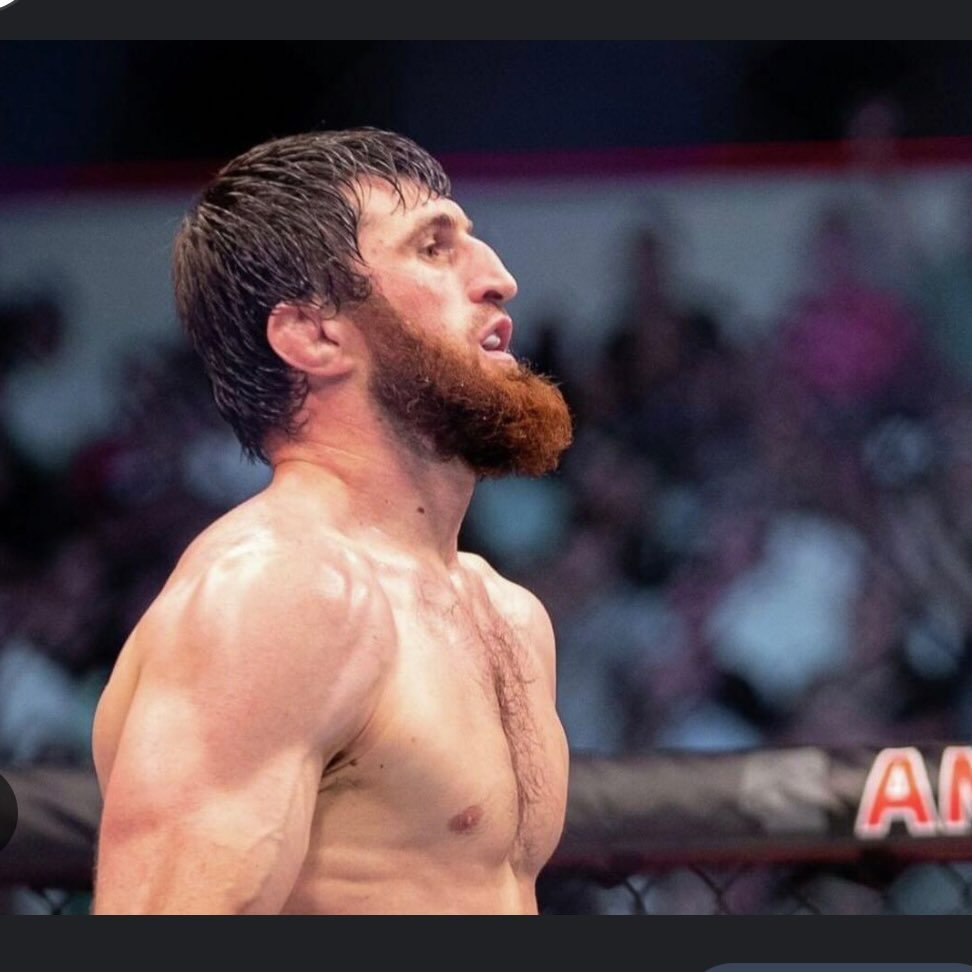 Magomed Ankalaev