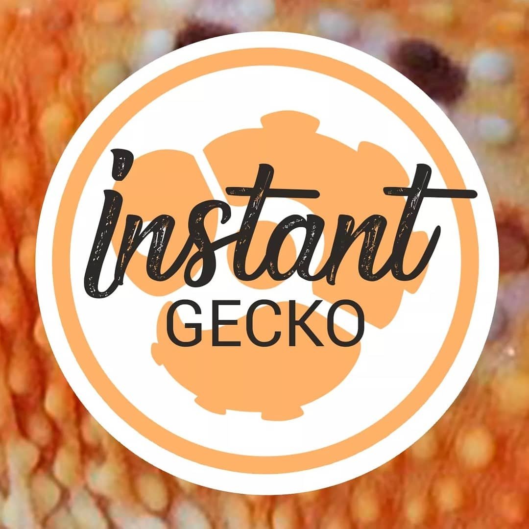 Instant Gecko