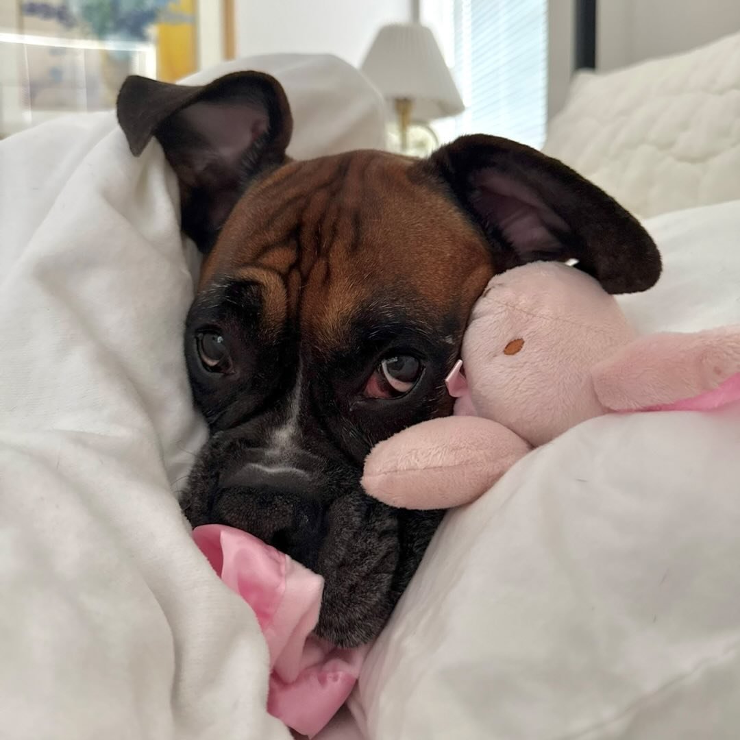 Princess Poppy