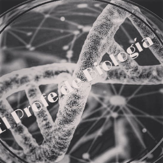 El Profe De Biología