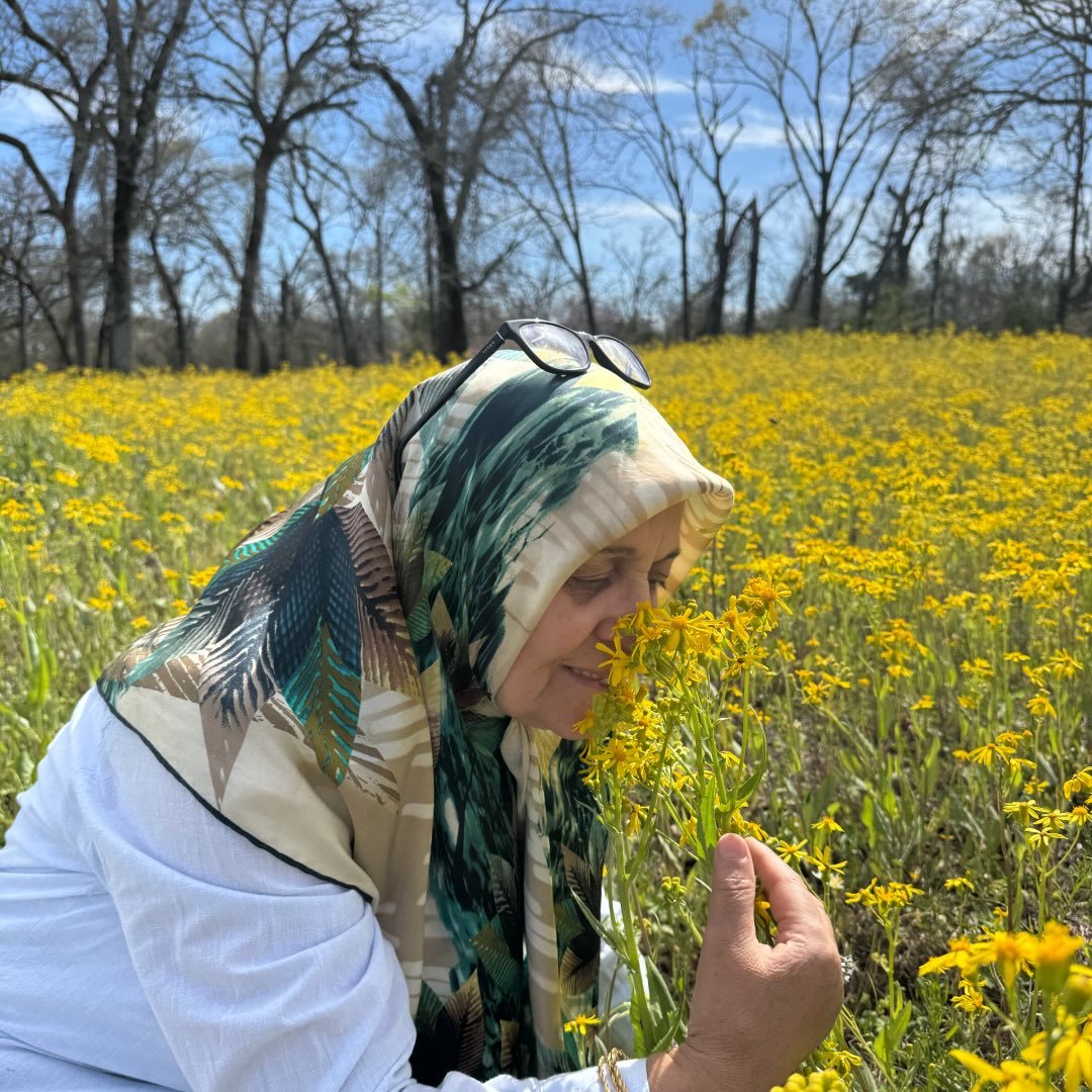 Şemsi Aydın
