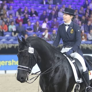 🇧🇪 Frisian Dressage 🇧🇪
