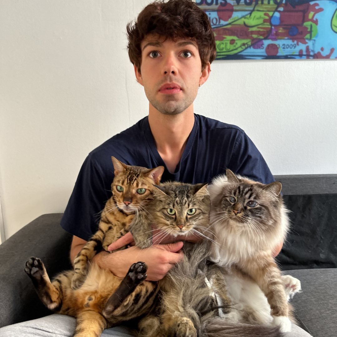 Nelly & Gilbert The Cats