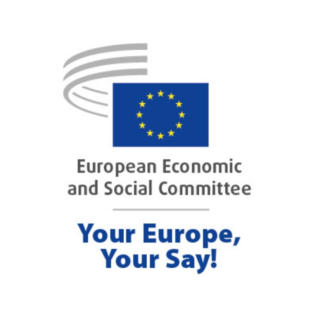 Your Europe, Your Say!