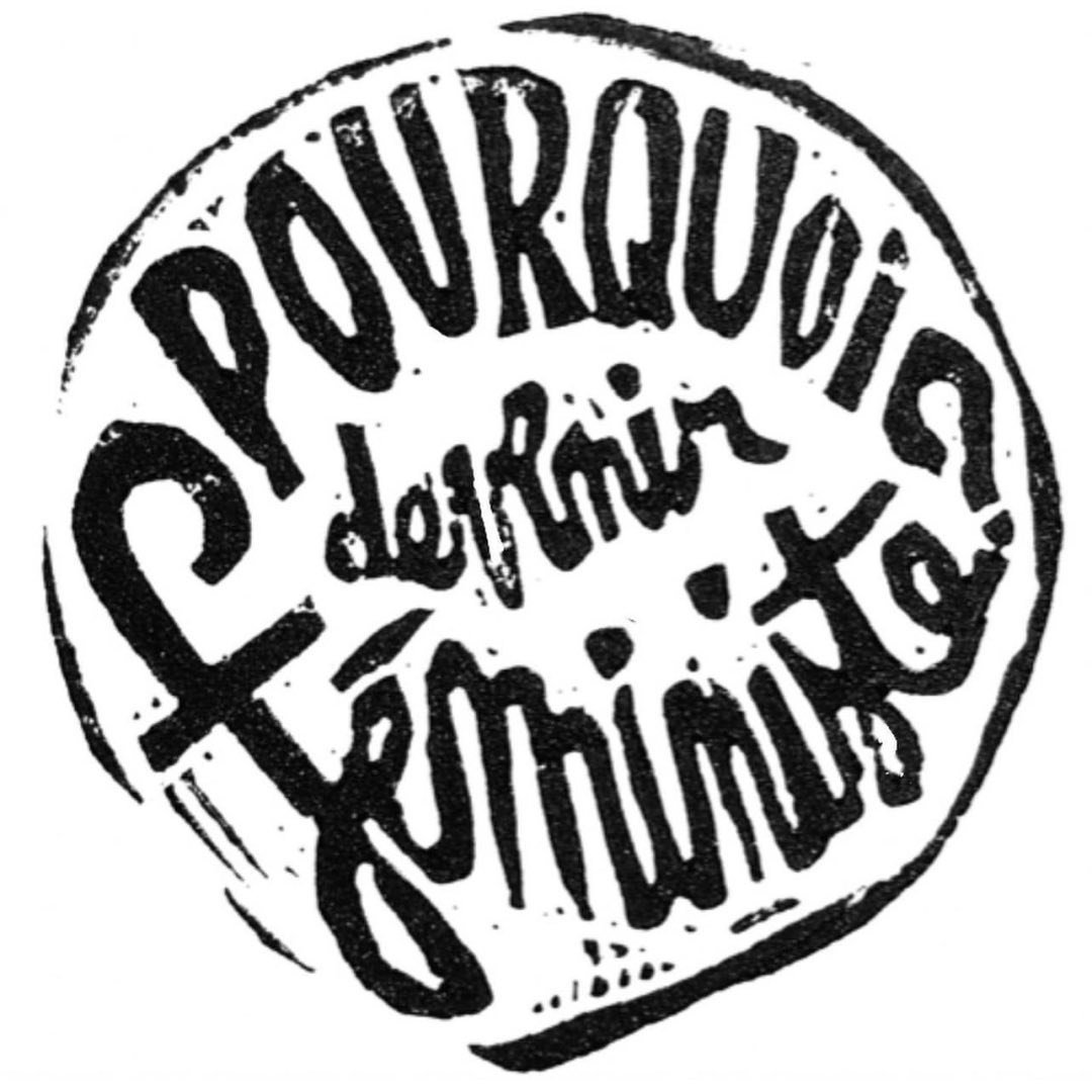 Pourquoi Devenir Féministe ?