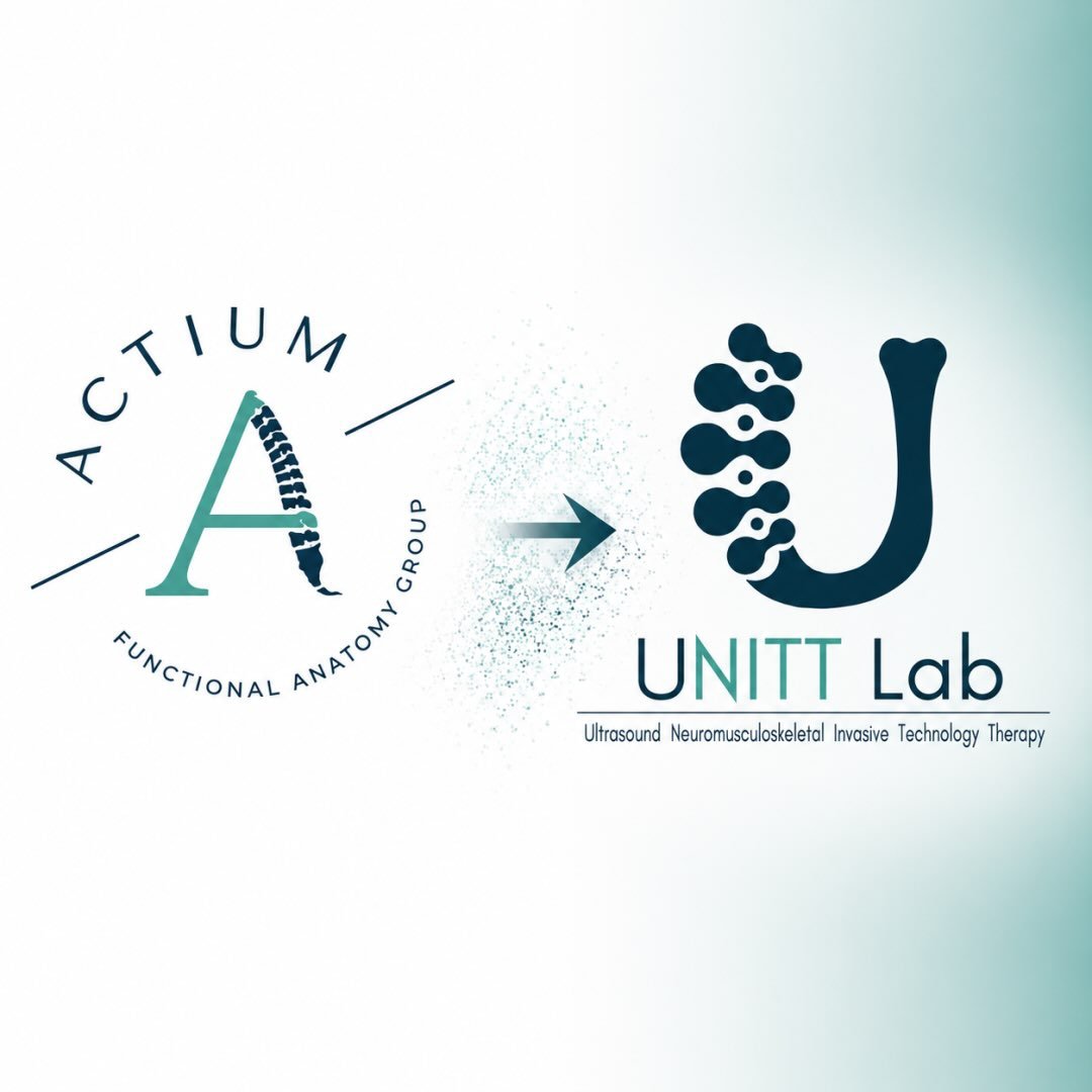 Actium Anatomy Group