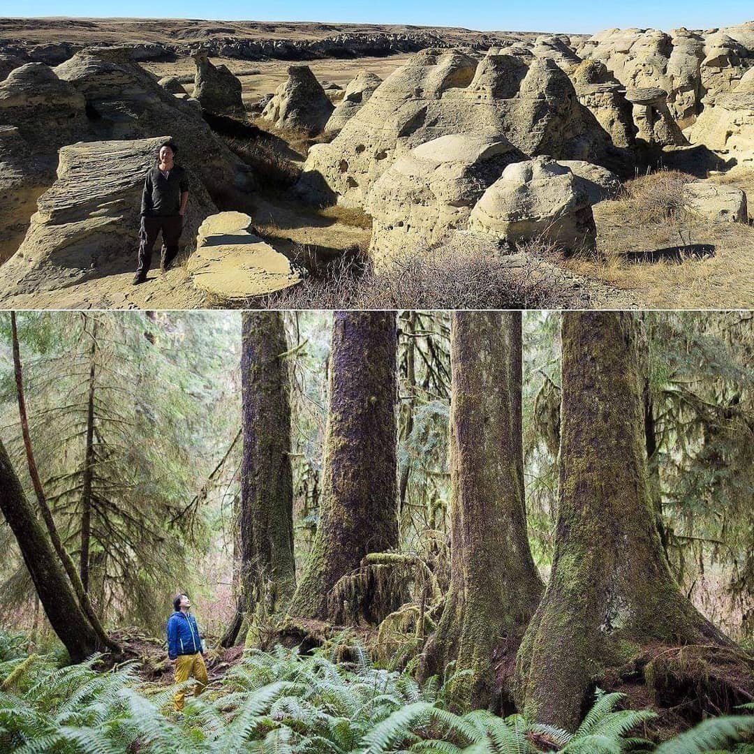 Endangered Ecosystems Alliance