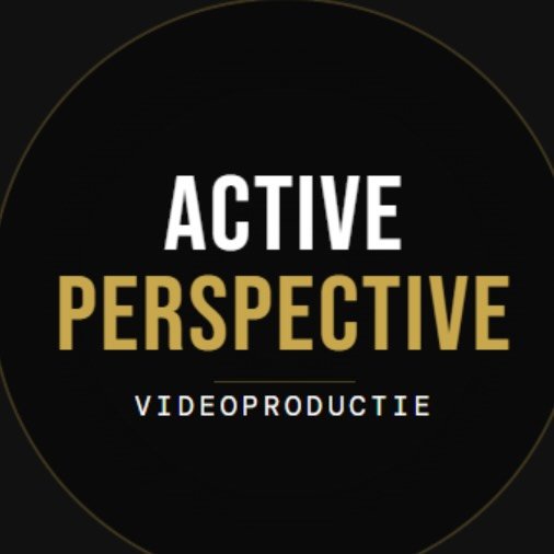 Active Perspective
