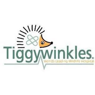 Tiggywinkles Wildlife Hospital