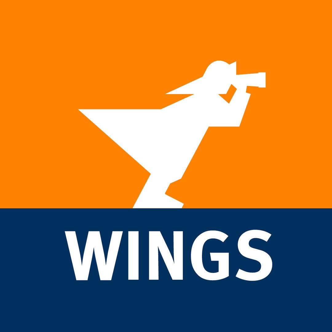 WINGS-Fernstudium Macht Erfolgreicher
