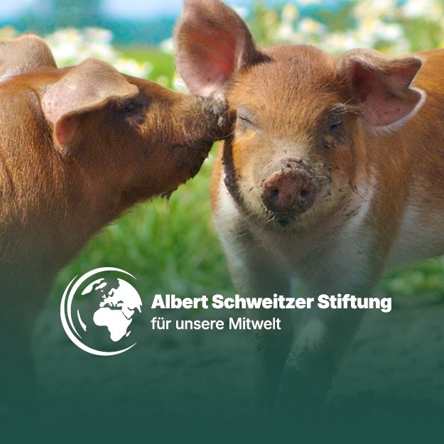 Albert Schweitzer Stiftung Für Unsere Mitwelt