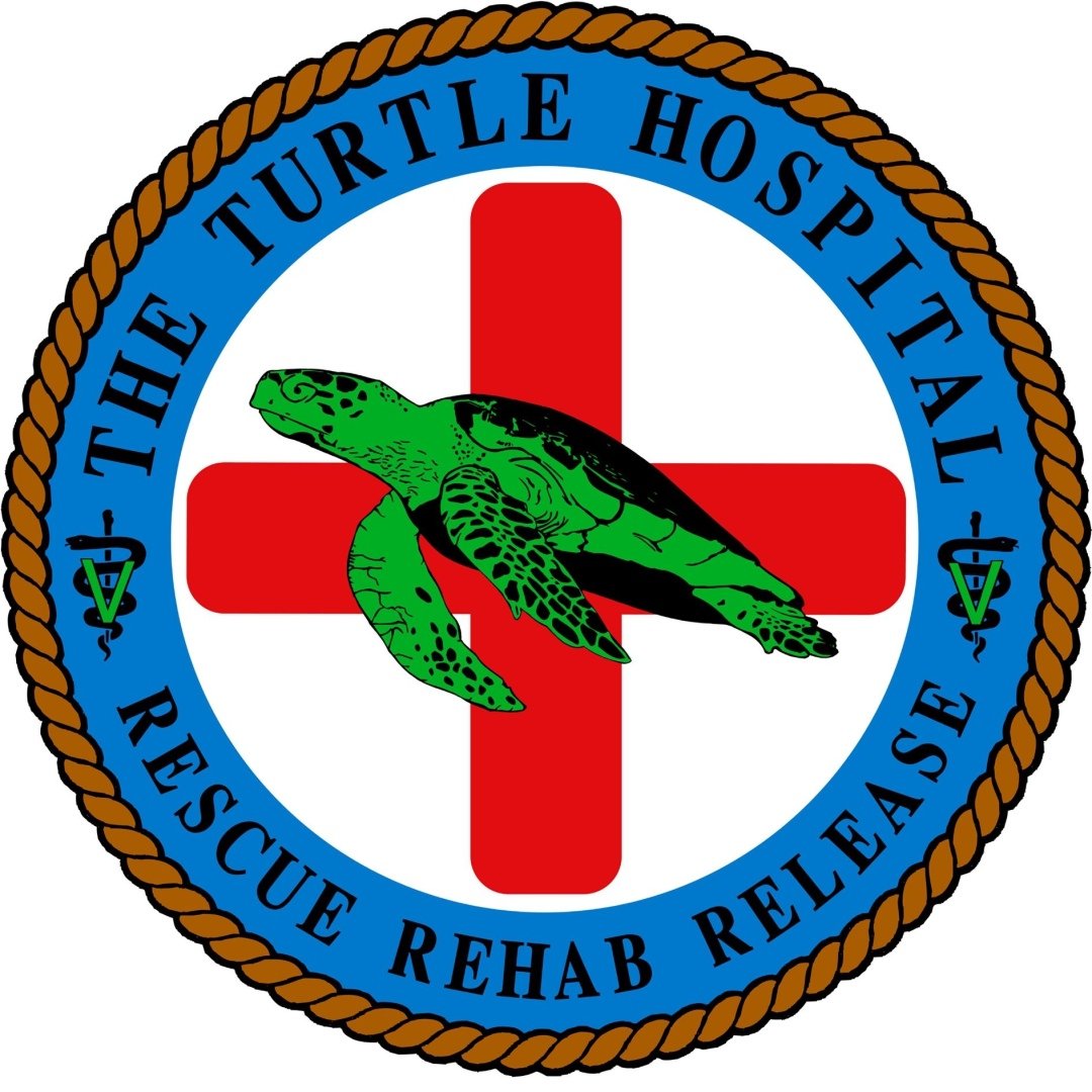 The Turtle Hospital