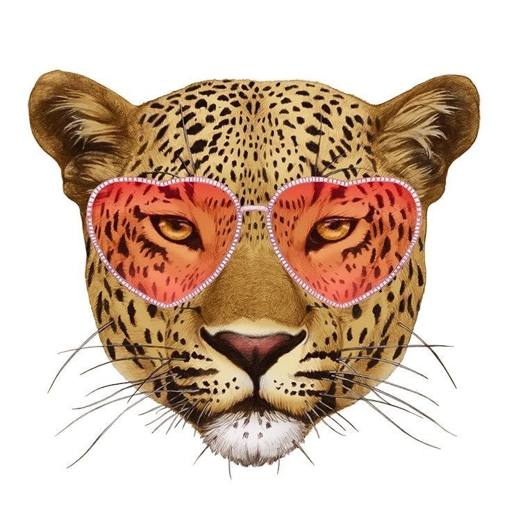 Timeless🐆