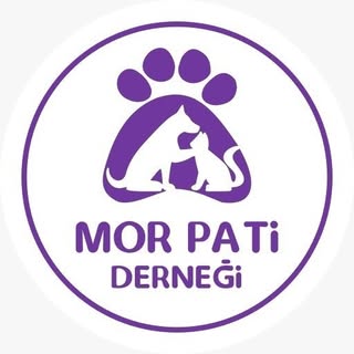 Mor Pati Derneği