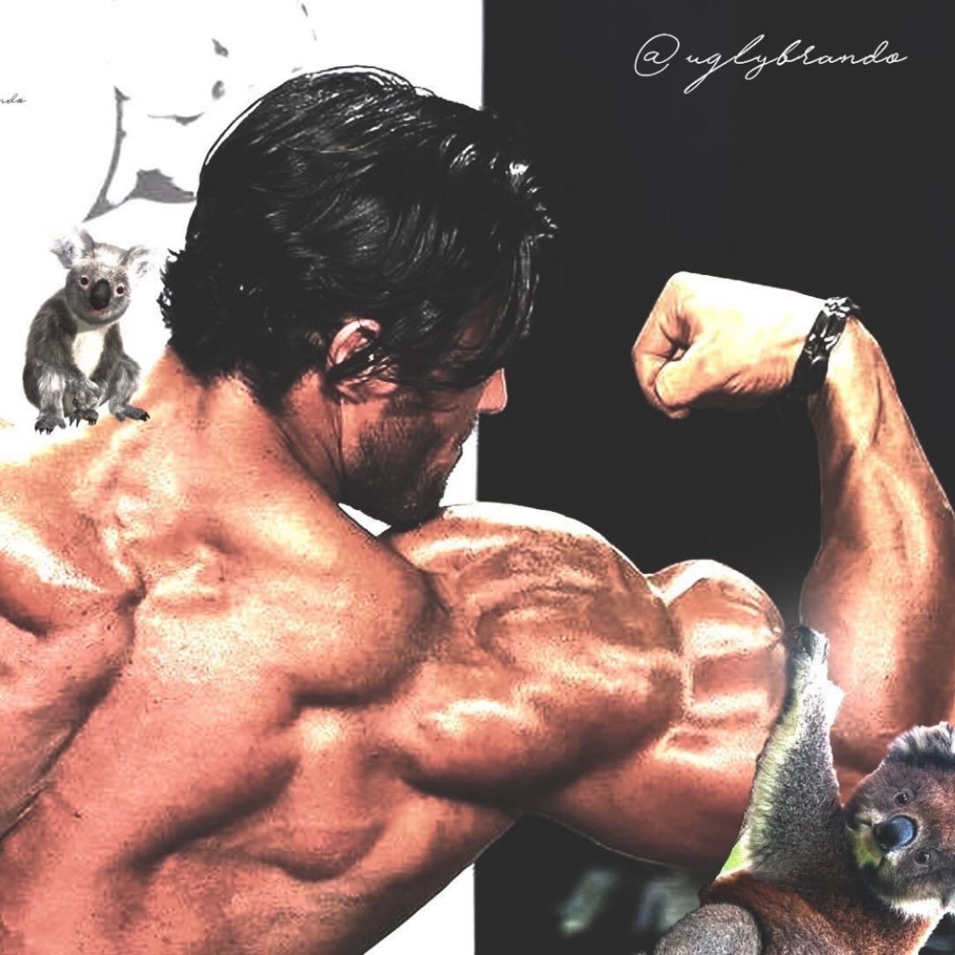 calumvonmoger