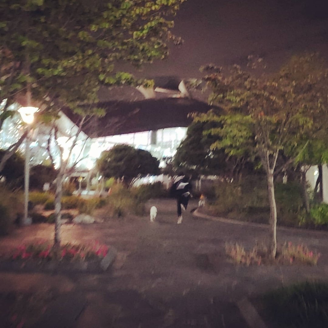 성훈의 데이투 Sunghoon Date Who?
