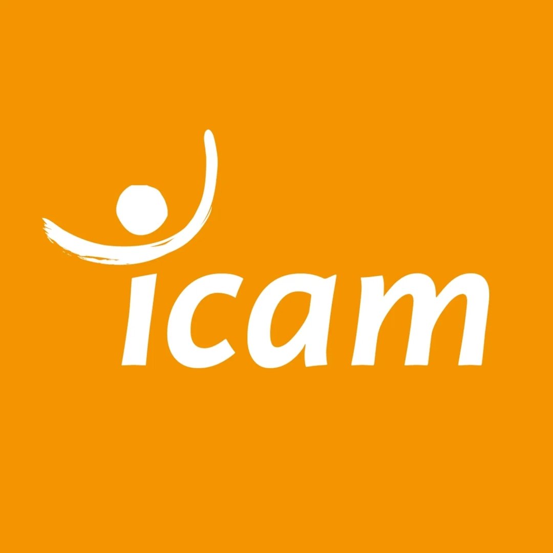 Groupe Icam