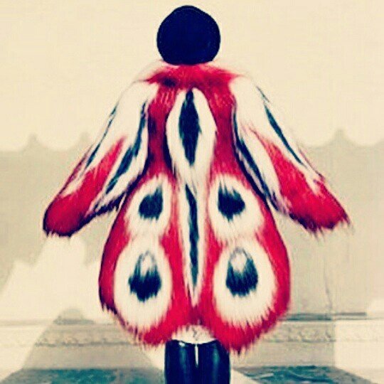 Perfect Jacket