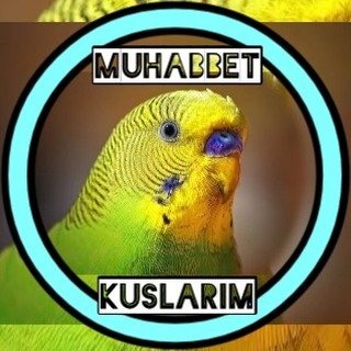 Muhabbet Kuşlarım