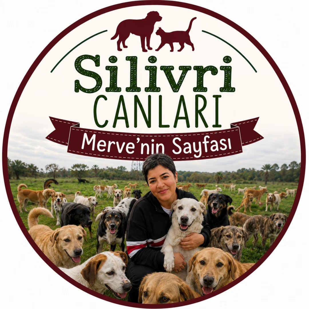 Silivri Canları Merve'nin Sayfası