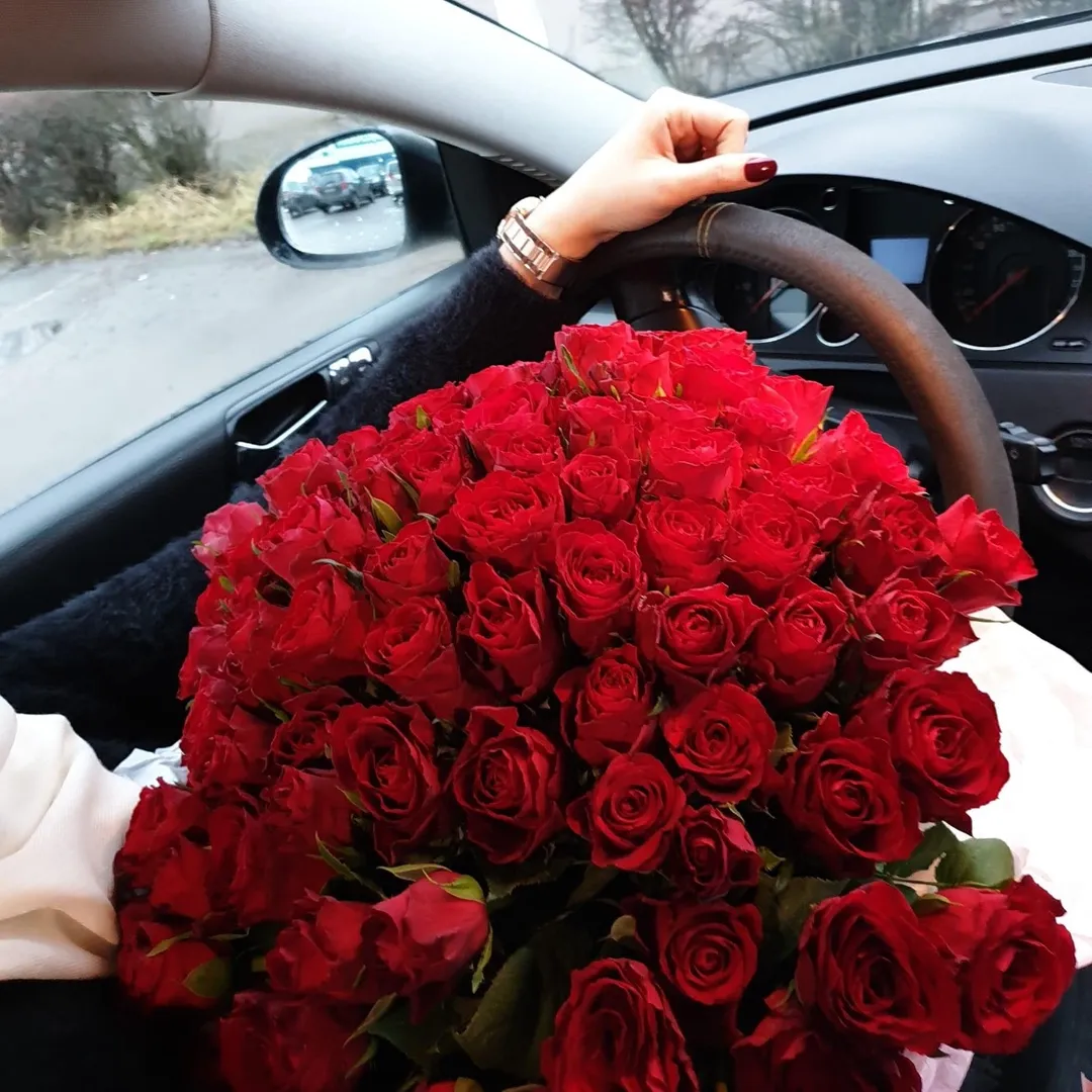 Nour Ghazall - نور غزال