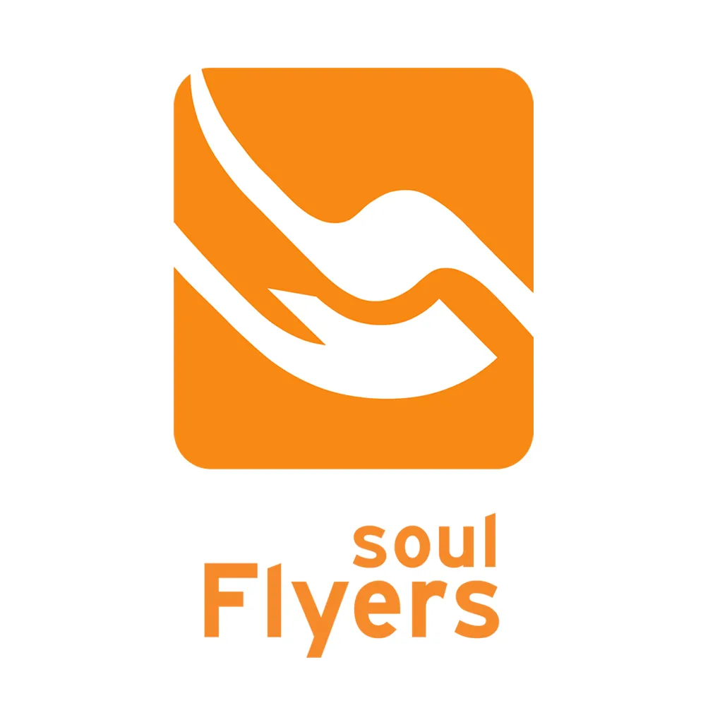Soul Flyers
