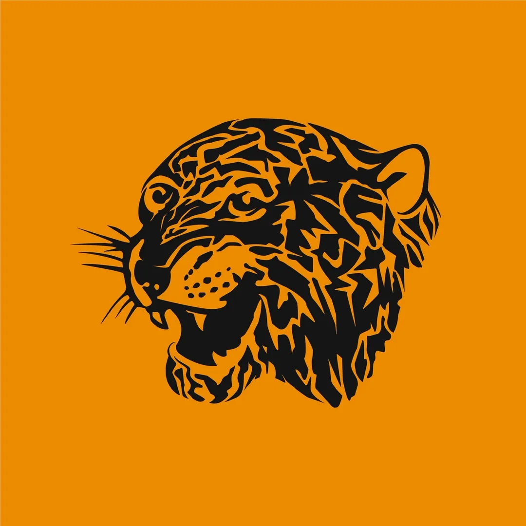 Hull City