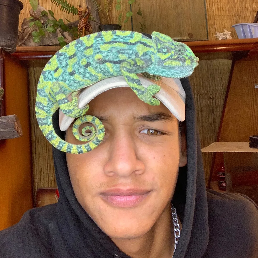 Hawii حاوي