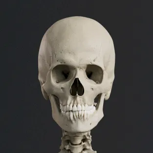 atomedgeanatomy