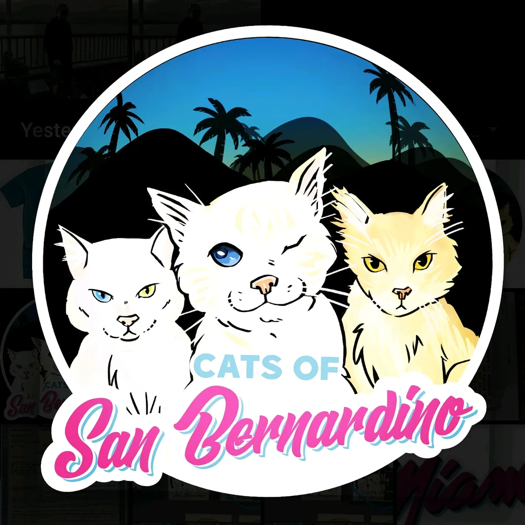 Cats Of San Bernardino 😺 Jaina & Ivy