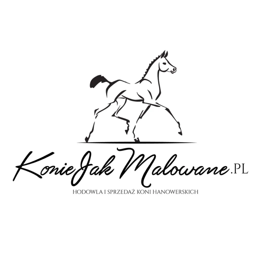 konie jak malowane