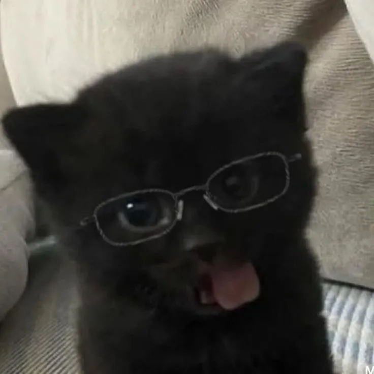 Boo <3