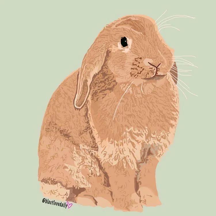 Basil The Bunny 🌿 House Rabbit