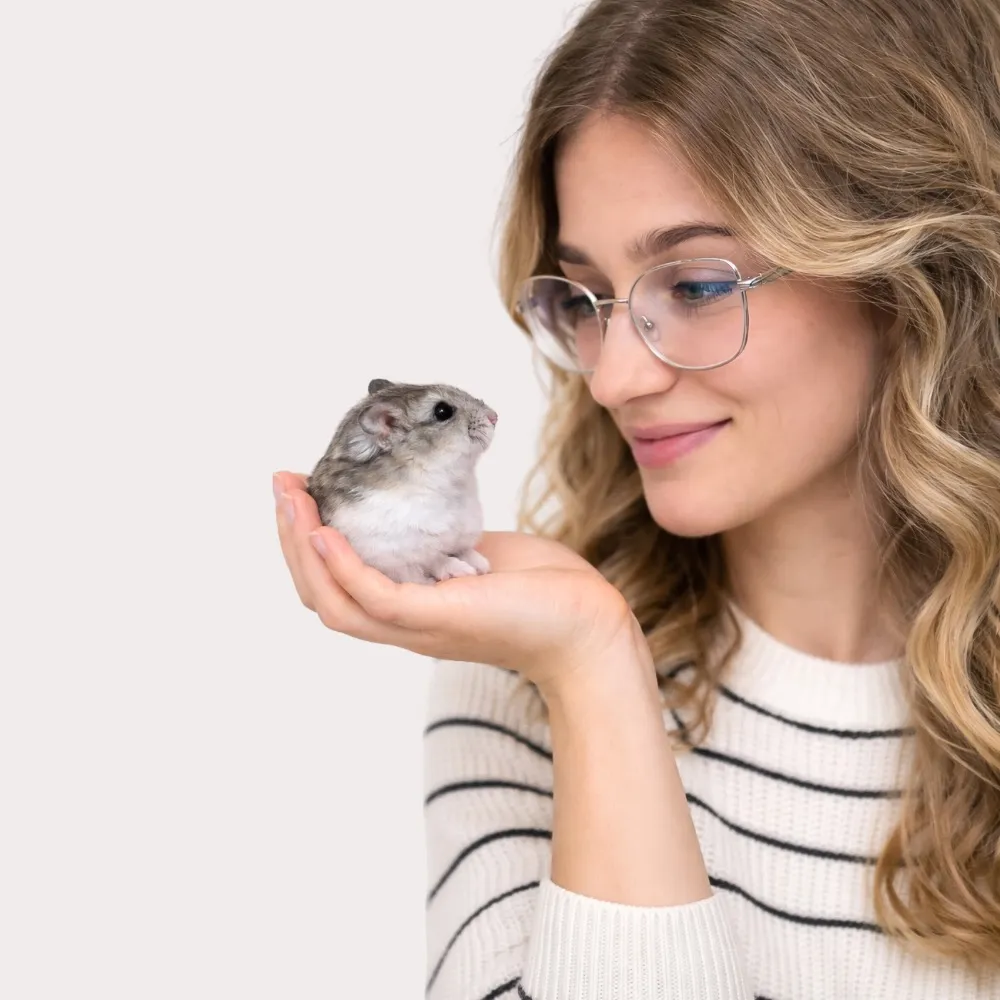 Hamsterstübchen