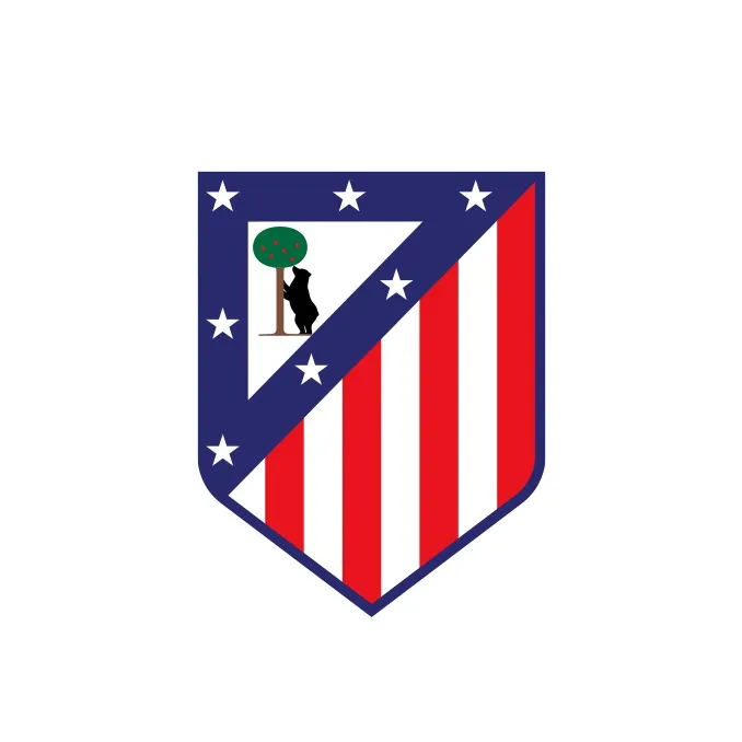 Atlético De Madrid Academia