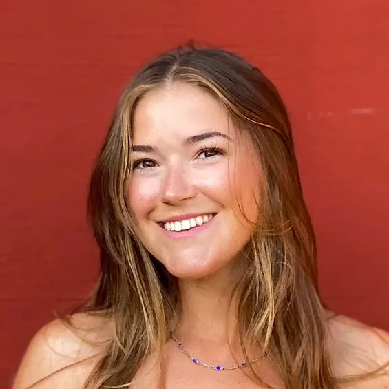 Hillevi Arkel | Mat För 100 Kr