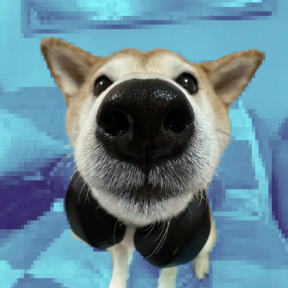 Eevee Bork The Shiba