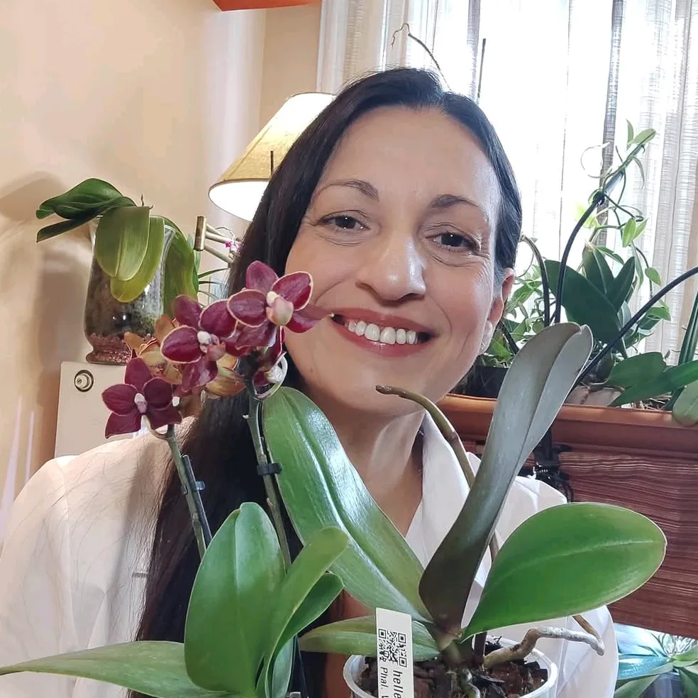 All About Orchids