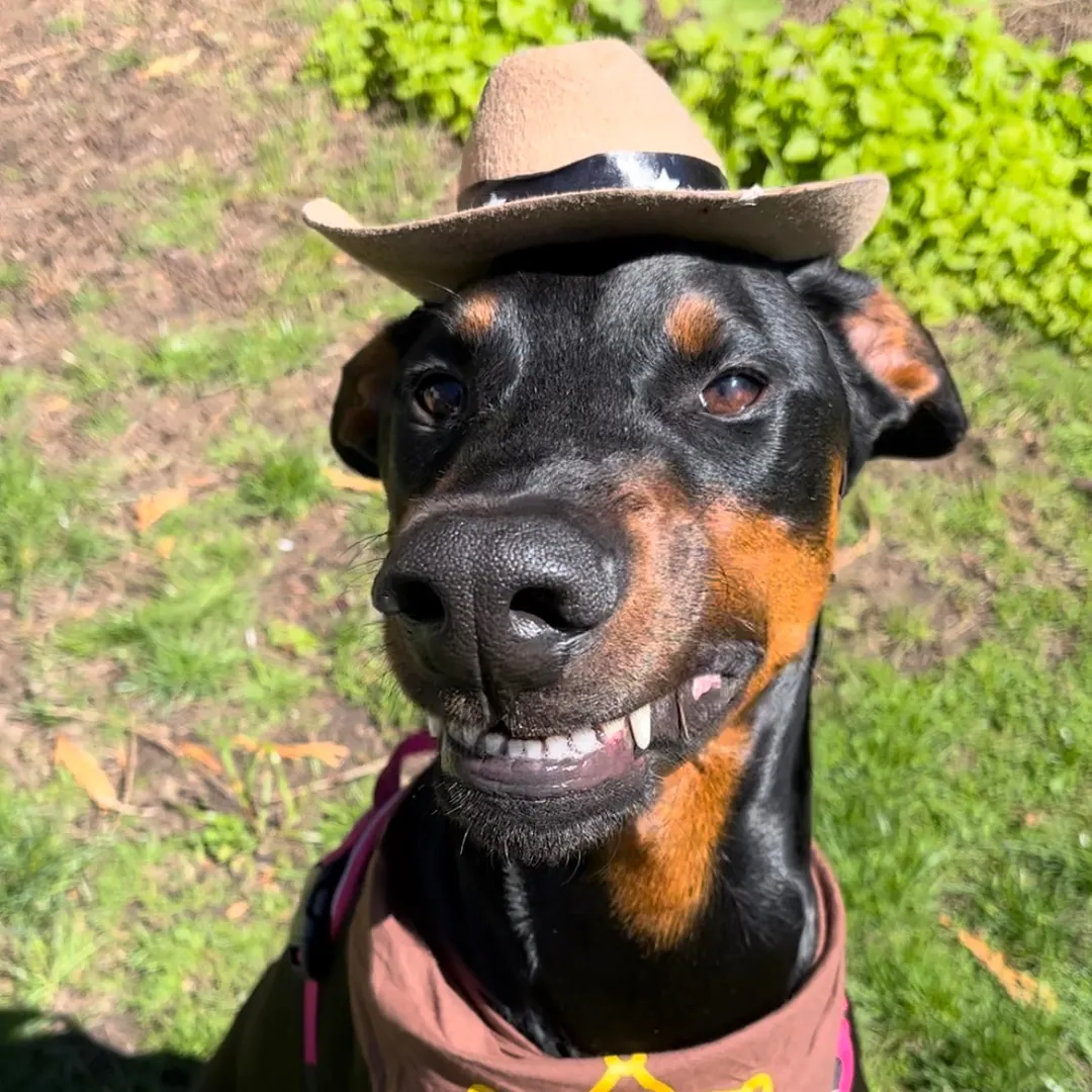 Cowboy ❤️