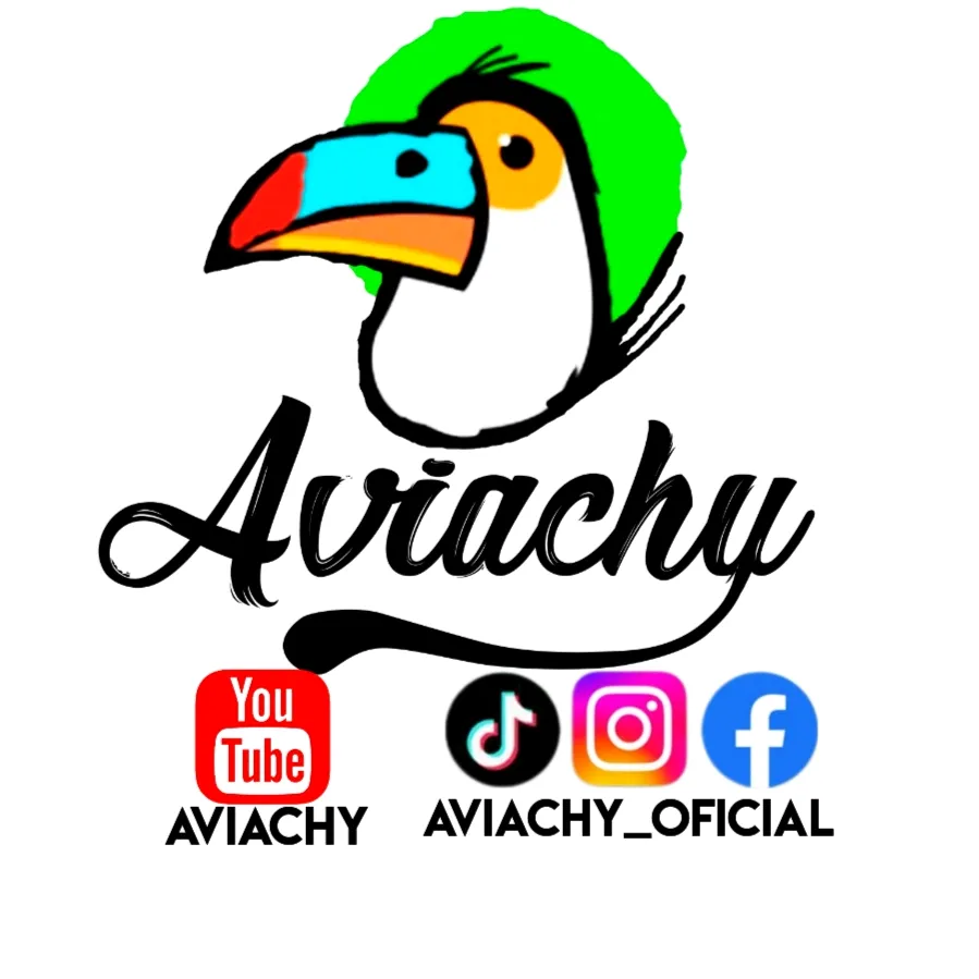Aviachy_Oficial