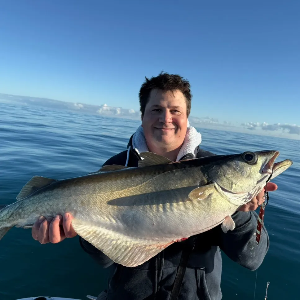 The Amputee Angler