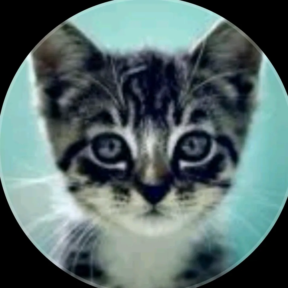 Cats And Kittens