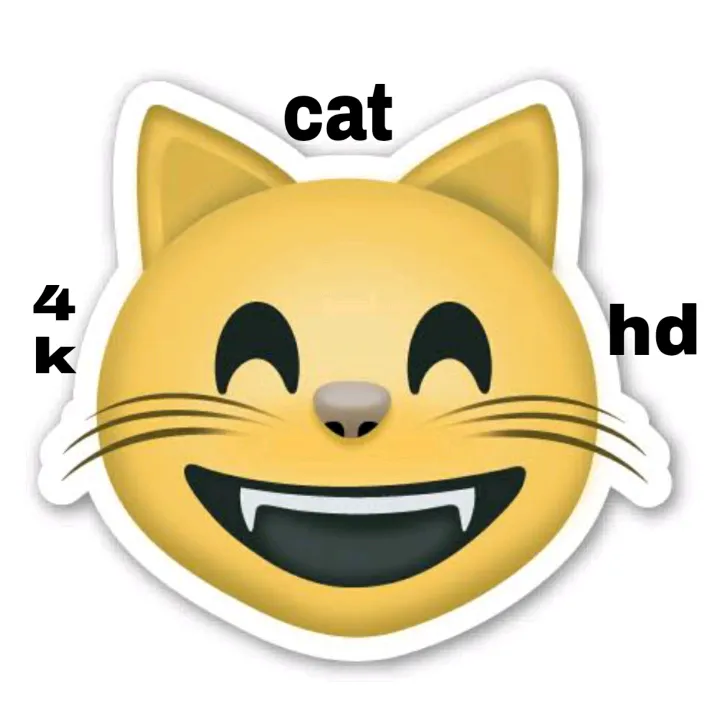 cat_4k_hd