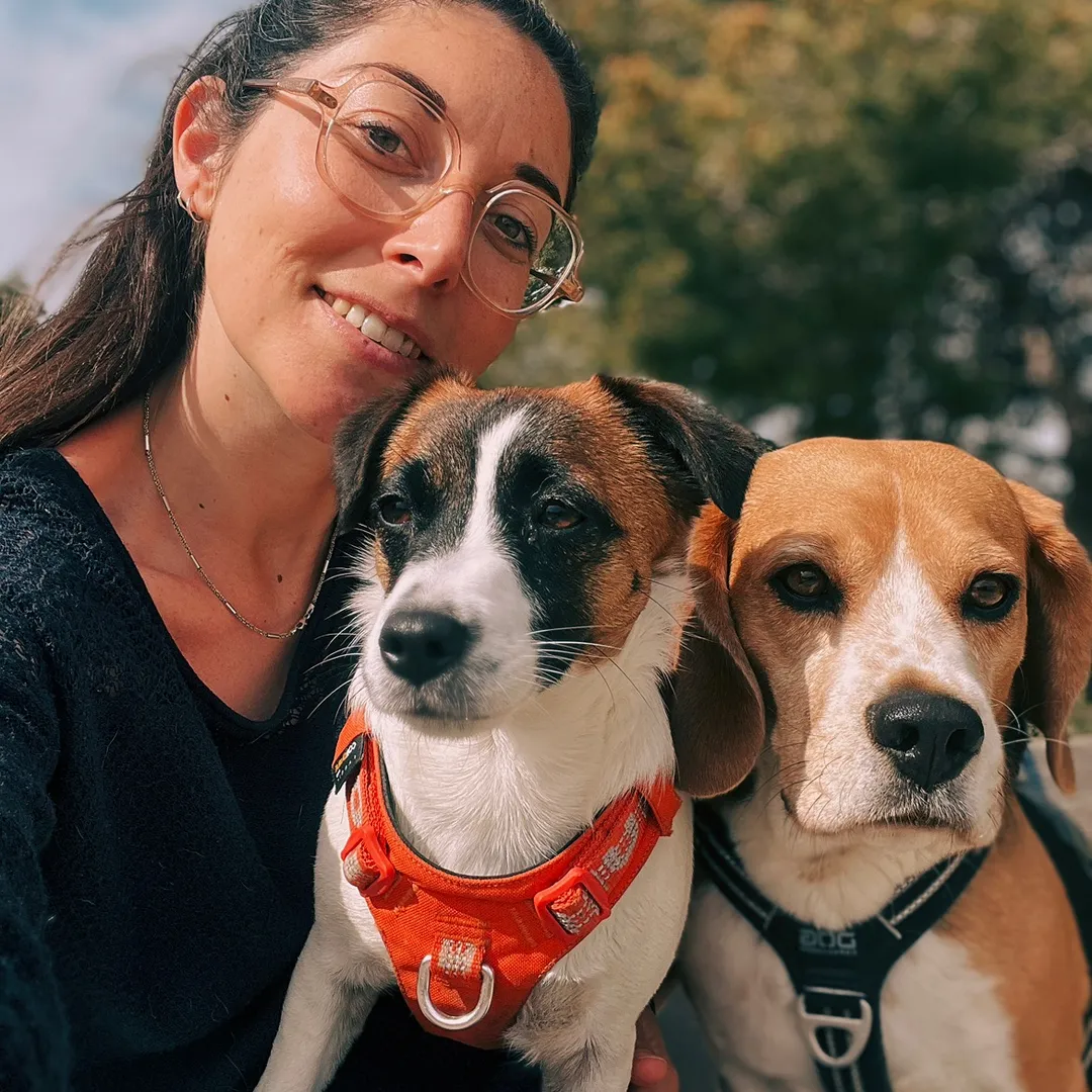 La Niche Aventure 🎒✨- Education Canine Lyon